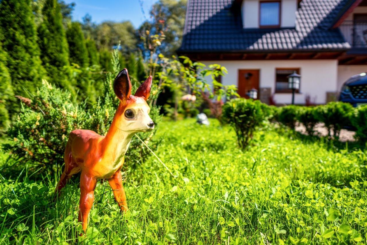 Domek U Eli Czarny Dunajec Esterno foto